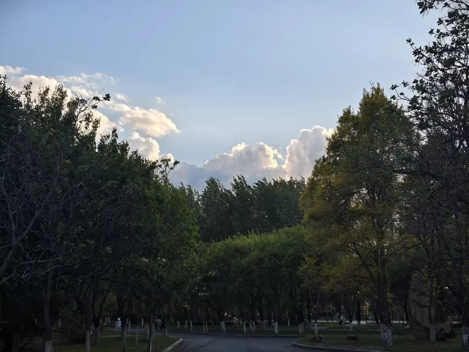 校园林荫小路与云景